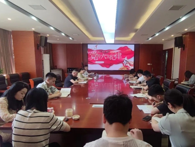 恪守“六大紀律”，筑牢思想根基--市古鎮(zhèn)投資公司行政黨支部組織開展黨記學(xué)習(xí)教育專題黨課